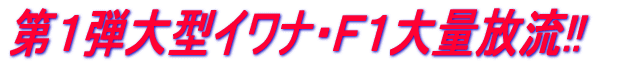 ��P�e��^�C���i�E�e�P��ʕ���!!